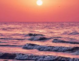 Fisheries Department Photo